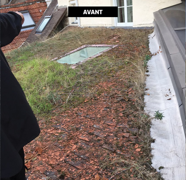 Avant